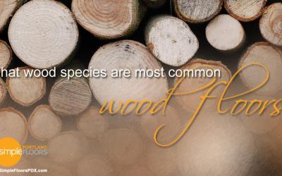 What Wood Species Are Most Common For Wood Floors?