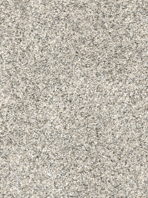 Carpet Options Colors & Styles