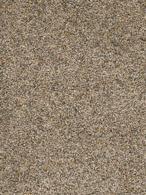 Carpet Options Colors & Styles