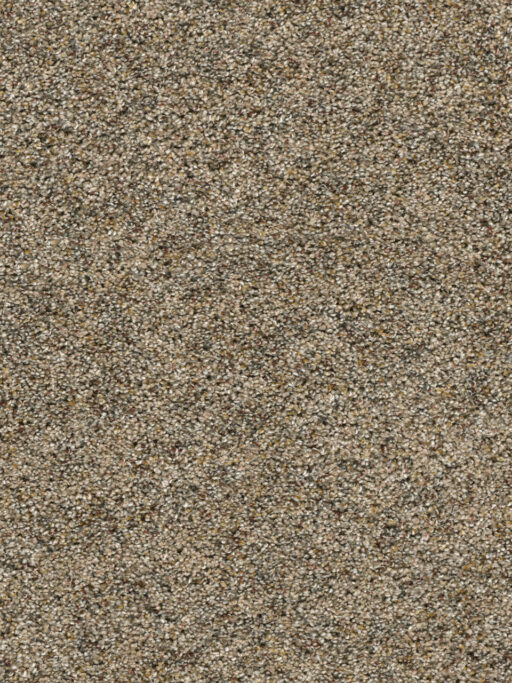 Carpet Options Colors & Styles