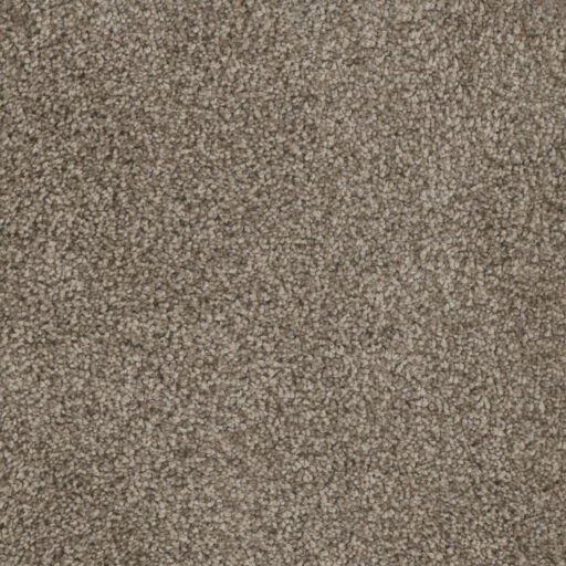 Carpeting in Portland Oregon