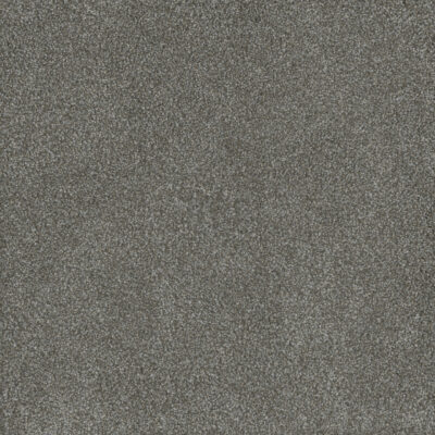 Carpeting Options Oregon