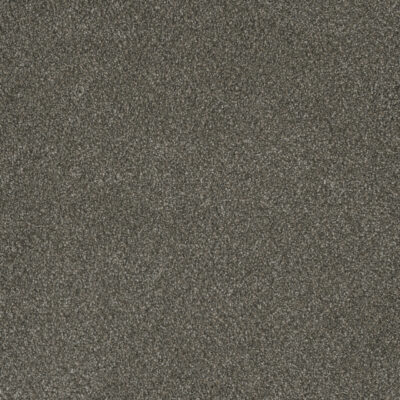 Carpeting Options Oregon