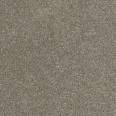 Carpeting Options Oregon