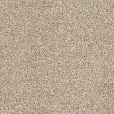 Carpeting Options Oregon