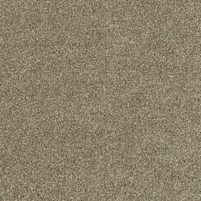 Carpeting Options Oregon