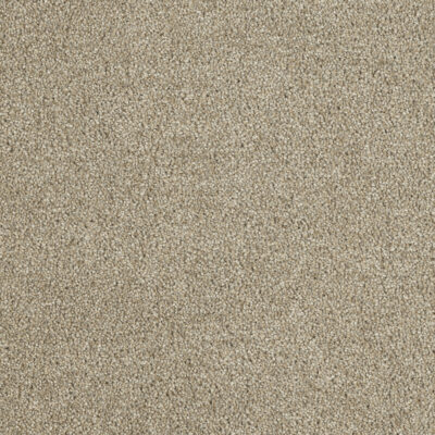 Carpeting Options Oregon