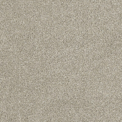 Carpeting Options Oregon