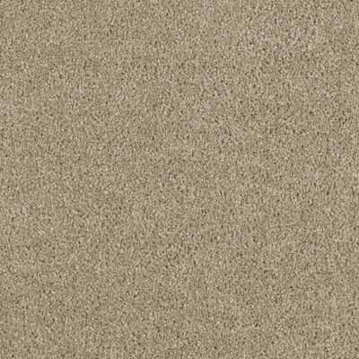 Carpeting Options Oregon