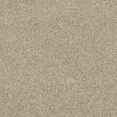 Carpeting Options Oregon