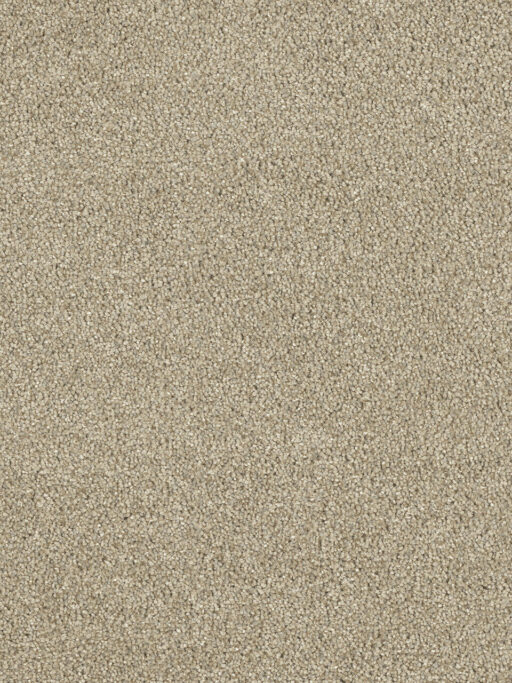 Carpeting Options Oregon