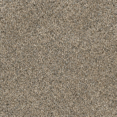 Carpet Options Colors & Styles