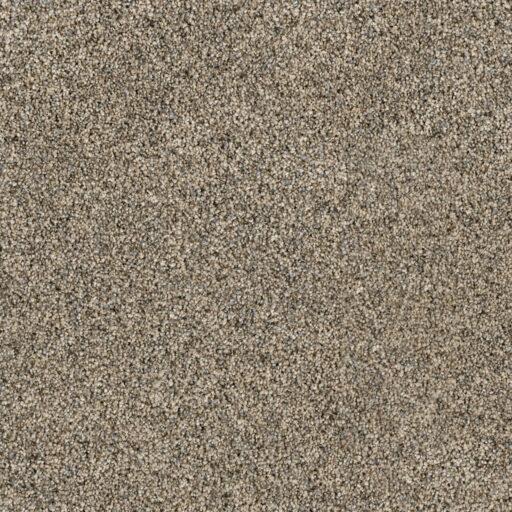 Carpet Options Colors & Styles