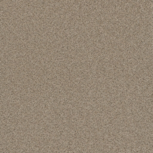 Carpet Options Colors & Styles