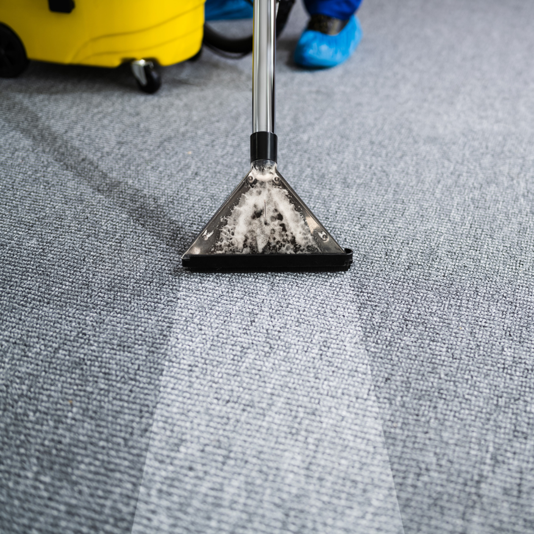 how often to clean carpet 